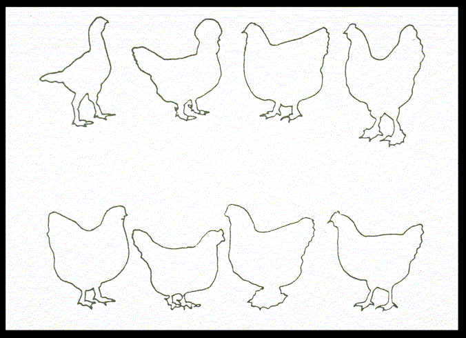 Breeds and Varieties
