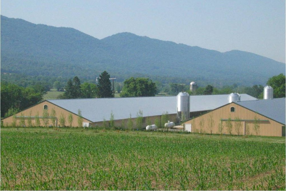 Modern Turkey Industry