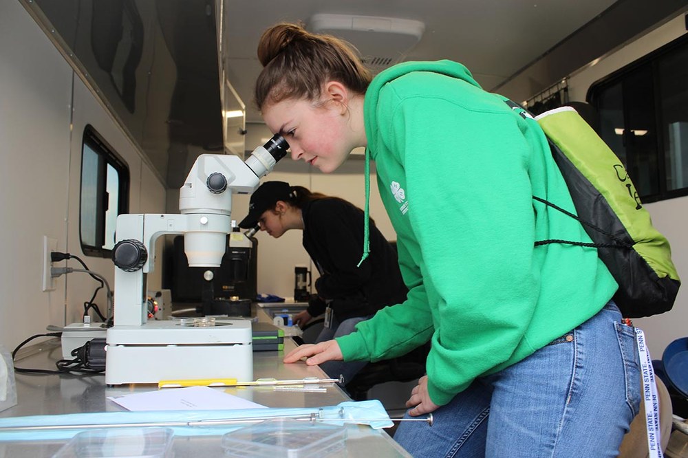 Veterinary Science Projects